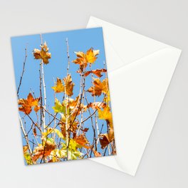 The autumn  Stationery Card