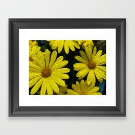 Yellow Flowers After the Misting Framed Art Print