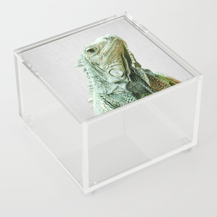 Iguana - Colorful Acrylic Box