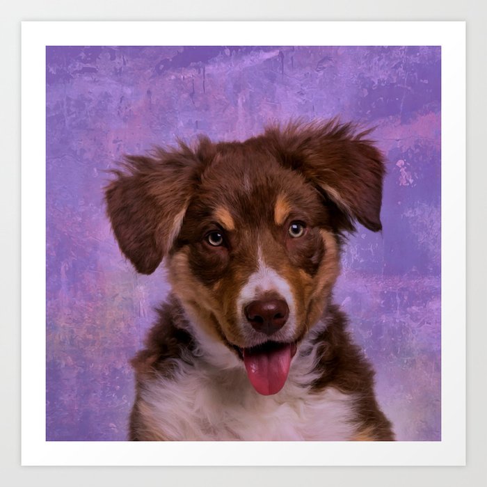 Border Collie Puppy Art Print By K9printart Society6 Border Collie Puppy Art Print By K9printart Society6