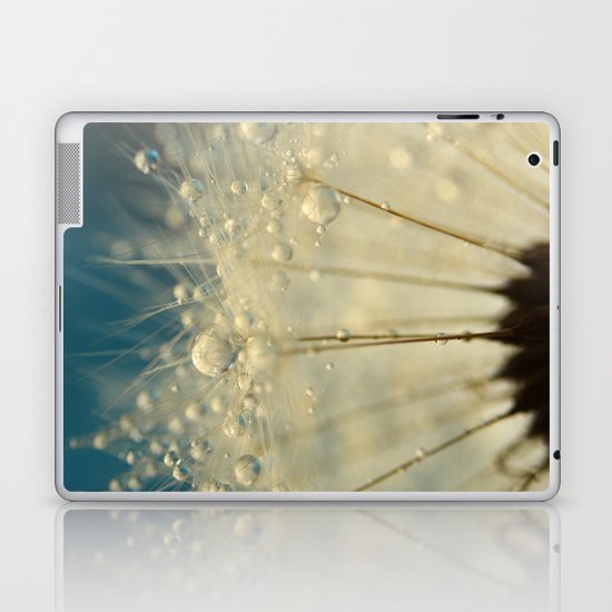 Dandelion with Blue Laptop & iPad Skin