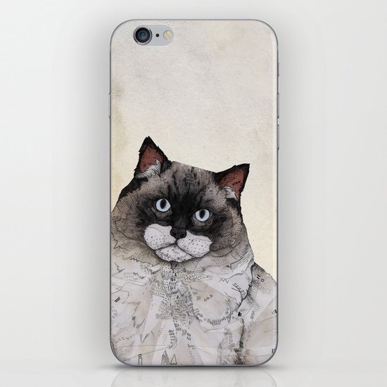 Mr. Ragdoll Cat iPhone & iPod Skin