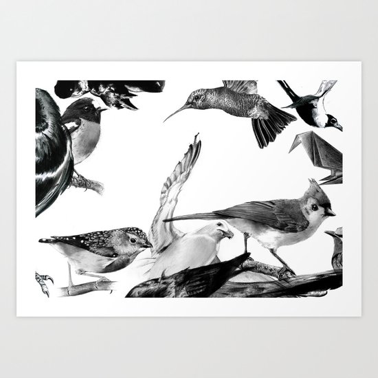 A Volery of Birds Art Print