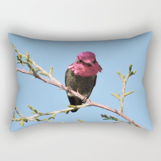 Mr. Anna's Hummingbird in Ideal Light Rectangular Pillow