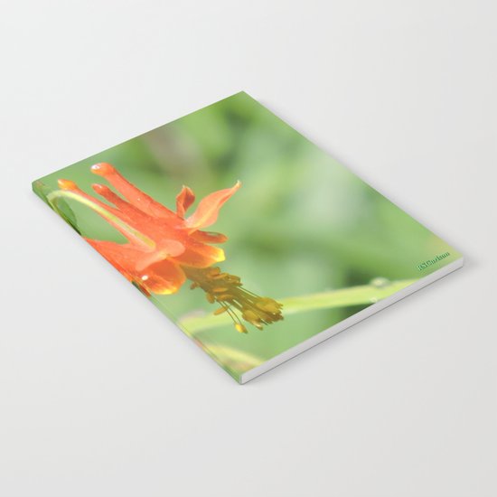 Columbine in the Breeze Notebook