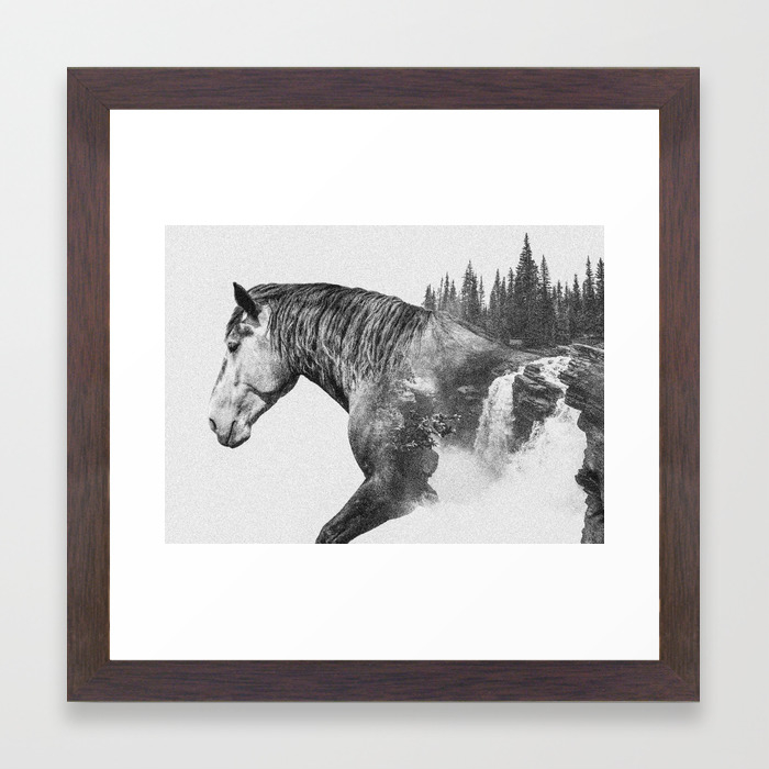 Horse Abstract Photography Art Black And White Animal