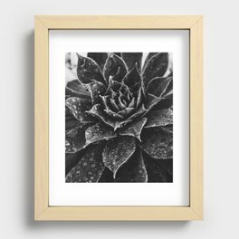 Black and White Succulent Recessed Framed Print