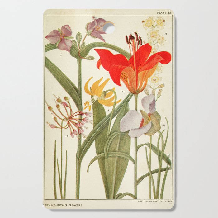 Wildflowers from "Rocky Mountain Flowers" (1914) by Edith Clements (benefitting The Nature Conservancy) Cutting Board