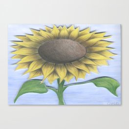 Stacy's Sunflower Canvas Print