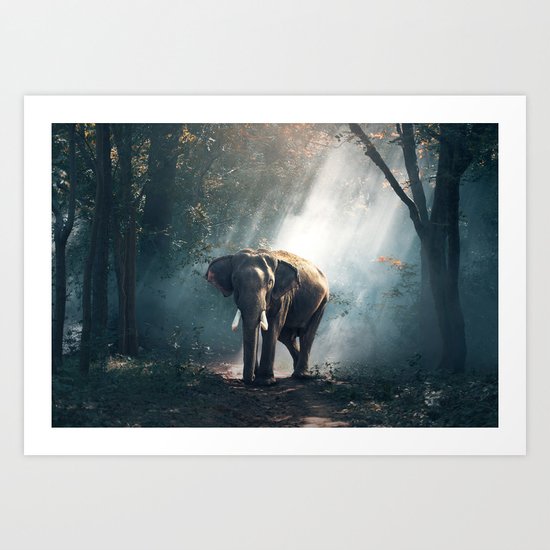 Elephant Art Print