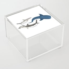 Shark Trio Acrylic Box