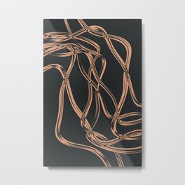Rusty Ropes Metal Print