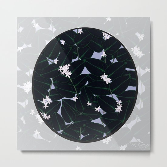 Night Blooming Metal Print