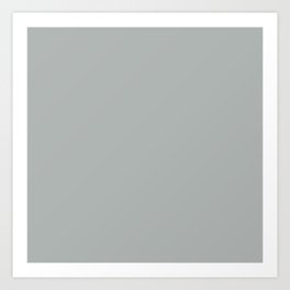 Periglacial Grey Art Print