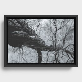 Passage of Time Framed Canvas