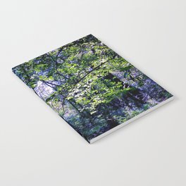 Pleasure of the Pathless Woods Notebook