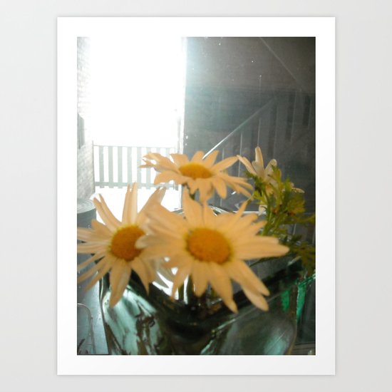 Chicago Daisies ~ flowers Art Print