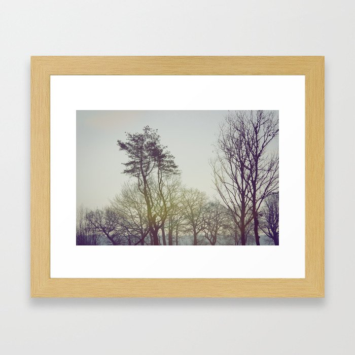 Trees and sunrise Framed Art Print