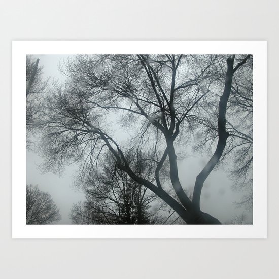Mistery trees Art Print