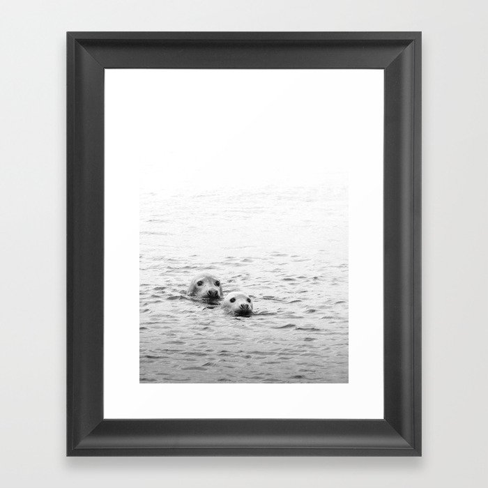 Swimming seals | Sea | Wildlife and nature photography in black and white Framed Art Print