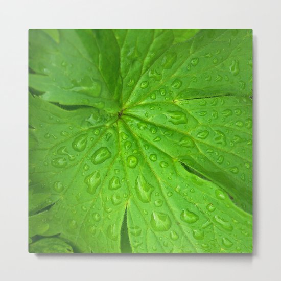 green leaf II Metal Print