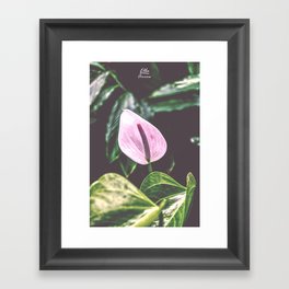 Pink Lily (floral pink white green photo artwork) Framed Art Print