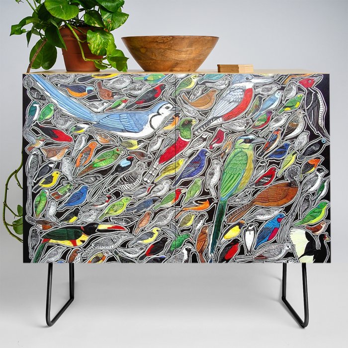 Toucans, parrots and tropical birds of Costa Rica Credenza