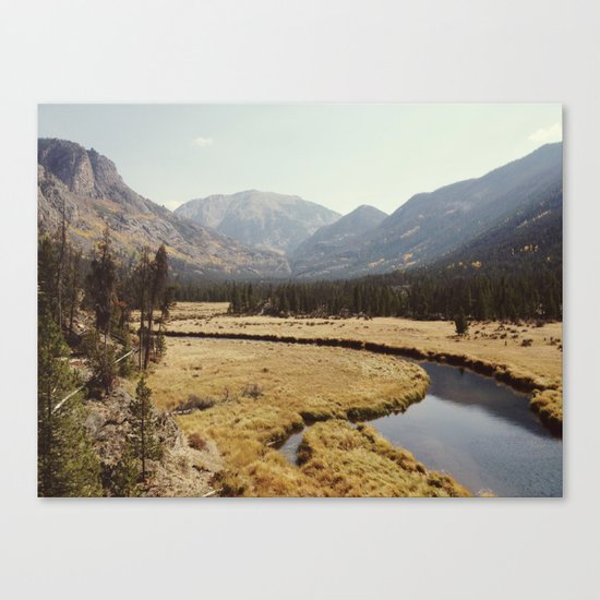 Rocky Mountain Meadow Canvas Print