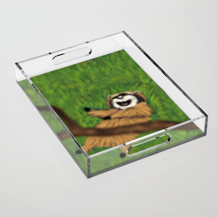 Download Raccoon Series: Oops! Acrylic Tray by mockup | Society6