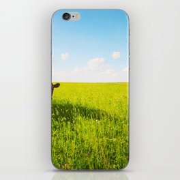 Two Cows Baby Mother Grazing On iPhone Skin