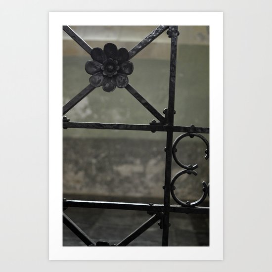 Fence Art Print