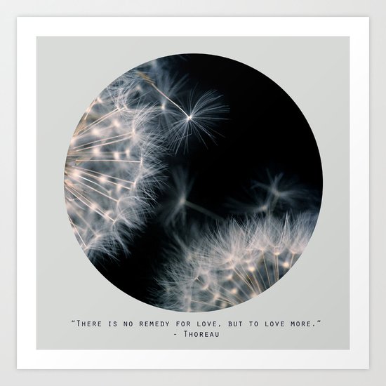 Love More Art Print