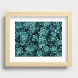 Succulents in Shades of the Sea Recessed Framed Print