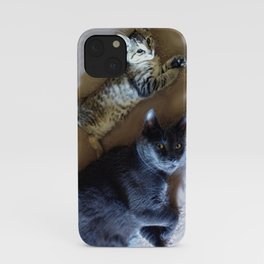 Kitty see kitty do... iPhone Case