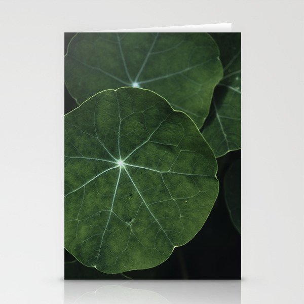 Nasturtium Leaf Botanical Photograph - moody minimal modern photography Stationery Cards