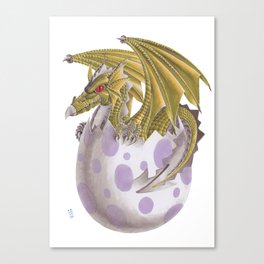 Baby dragon Canvas Print