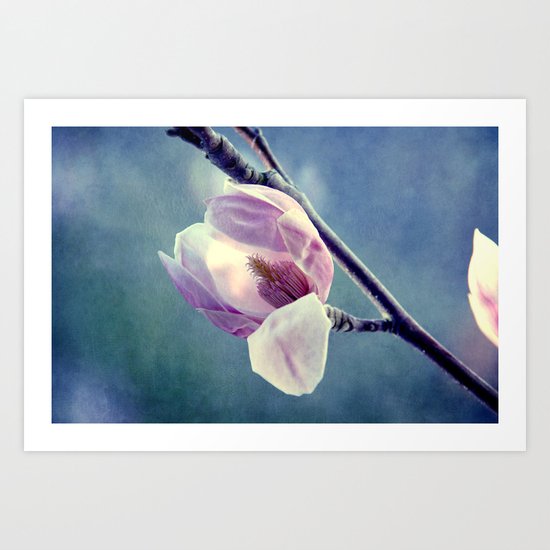 Spring colour Art Print