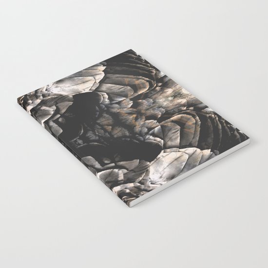 Dark Feathers Notebook