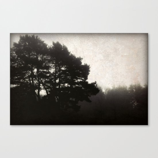 Still Canvas Print