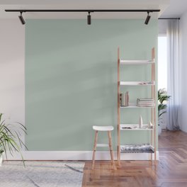Light Sage Green Solid Wall Mural