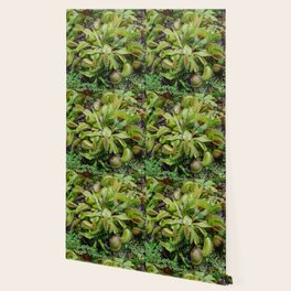 Venus Flytrap Wallpaper Society6