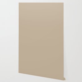 Sand Dust Tan Solid Color Pairs To PPG Best Beige PPG1085-4 All One Shade Hue Wallpaper