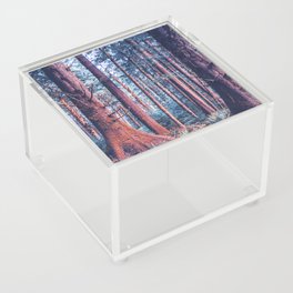The Blue Forest Acrylic Box