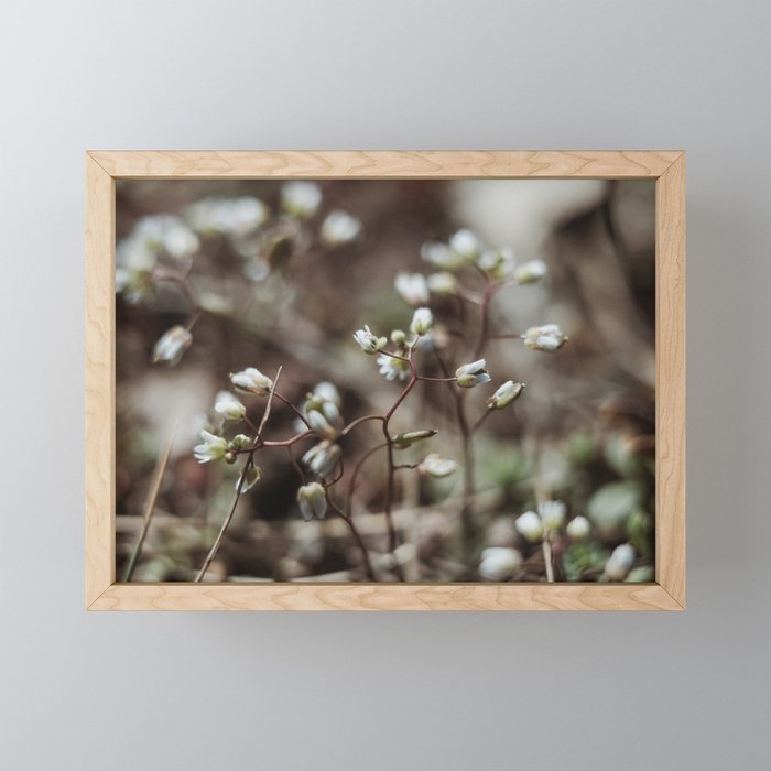 floral composition no. 3 Framed Mini Art Print