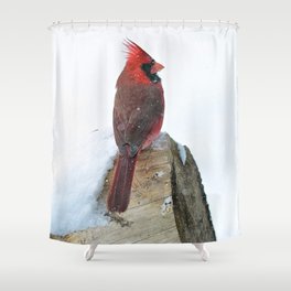 Snow, Snow, Snow! Northern Cardinal on a Snowy Log Shower Curtain