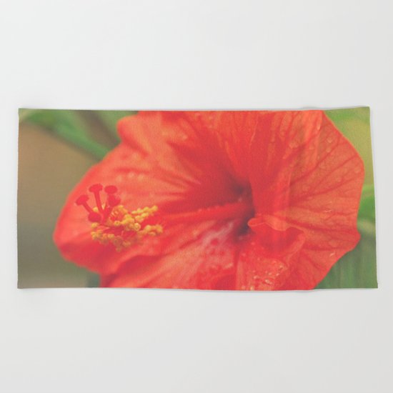Red hibiscus Beach Towel