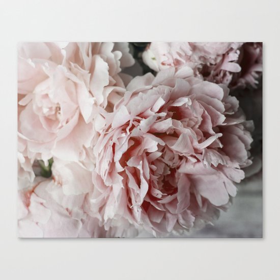 Peonies Canvas Print