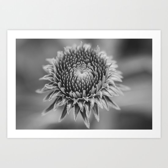 Macro Hypnosis (Monochrome) Art Print