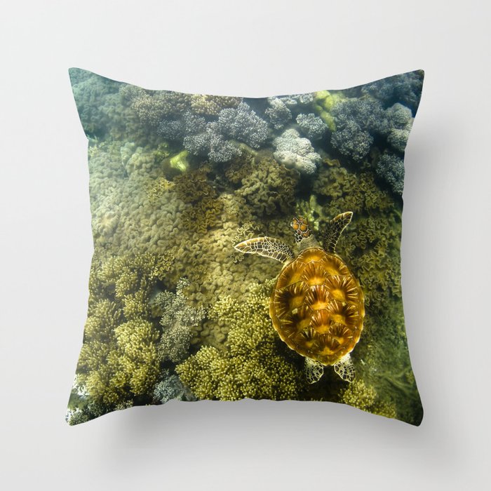 Turtle reef launch Throw Pillow