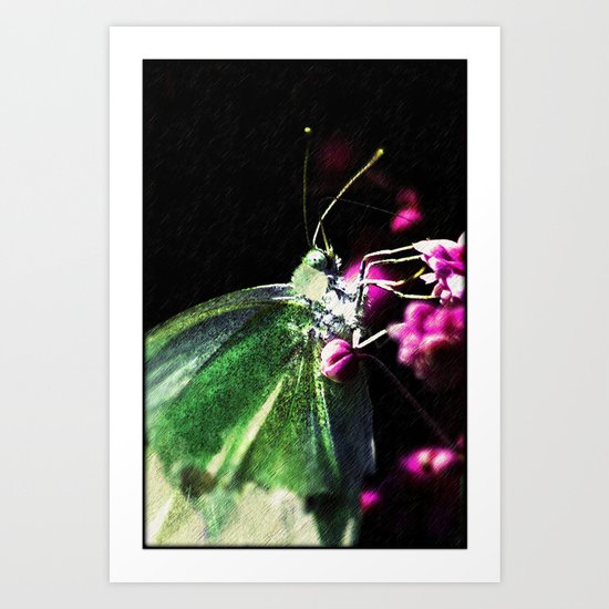 Butterfly queen Art Print